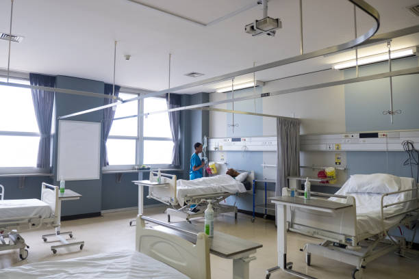 Research & Insights Leadership